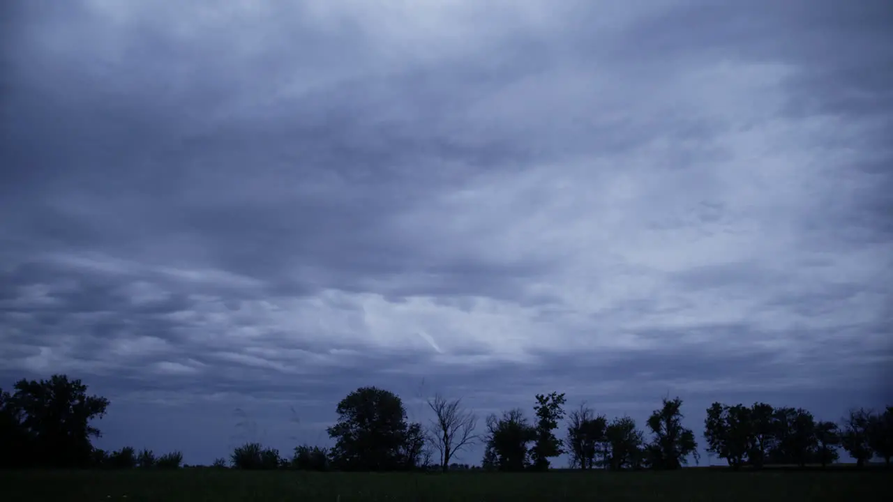 Silhouette of trees in front of blue sky and rain clouds in the evening on farmland farm farming farmer evening trees wheat field