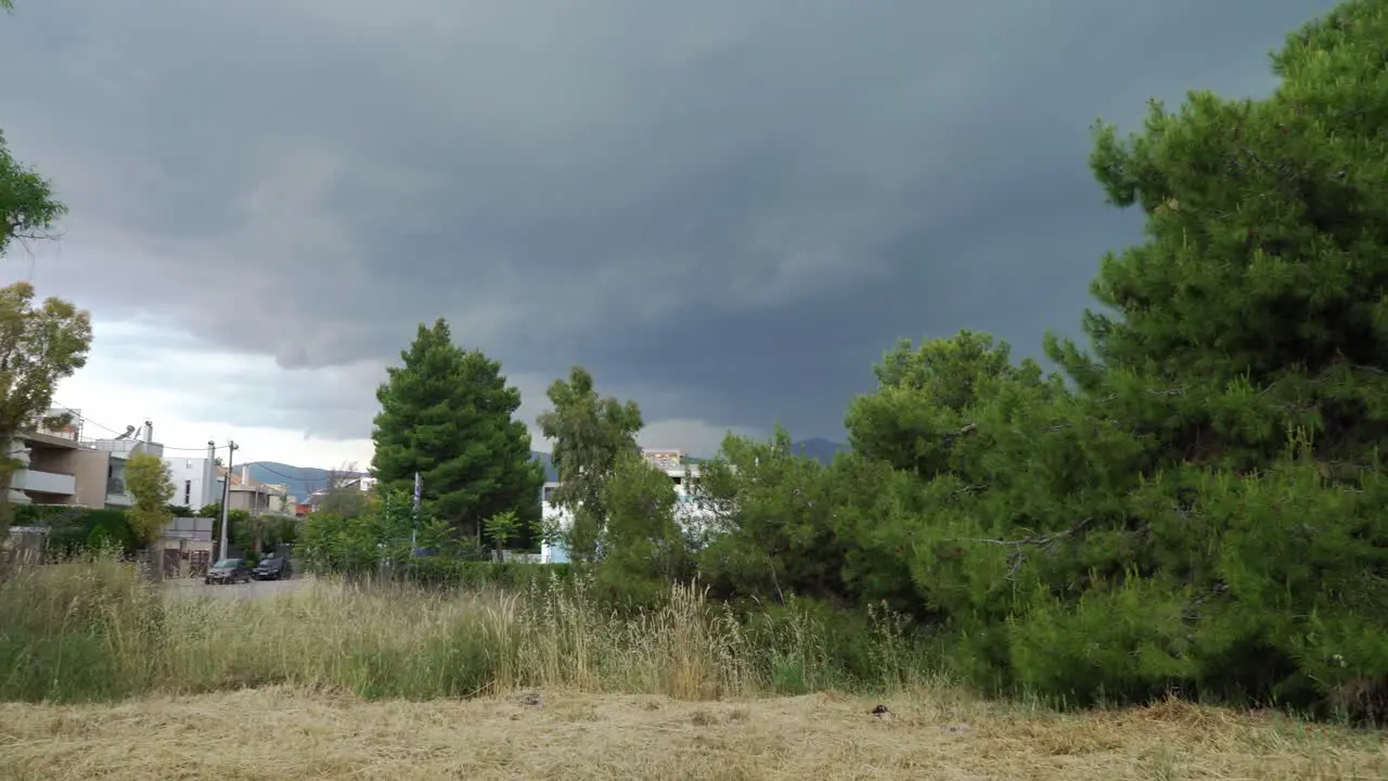 Panoramic wide shot of trees near Parnitha mountain Greece on a cloudy spring day