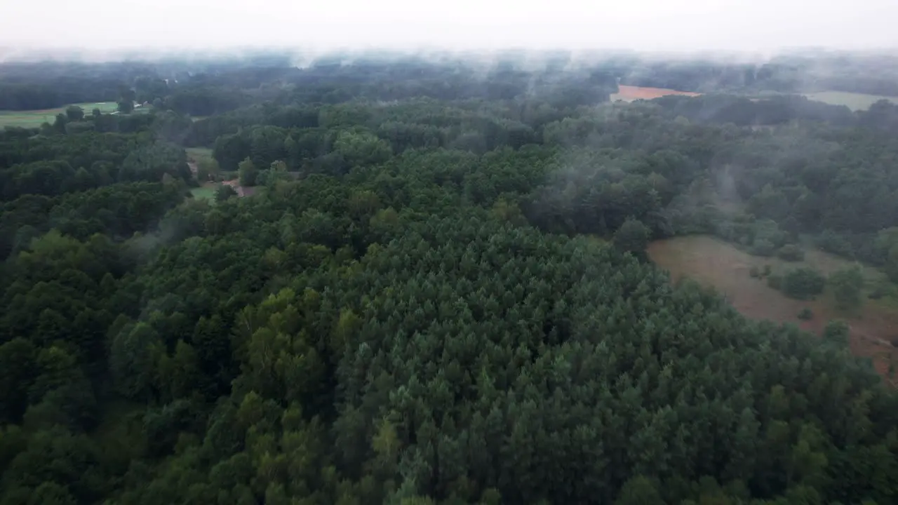 Flight on a cloudy day over the forest towards the clouds