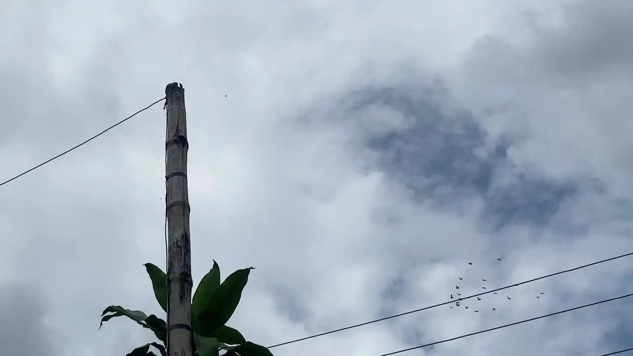 Low angle shot of dramatic cloudy sky with white cumulus clouds passing by at daytime