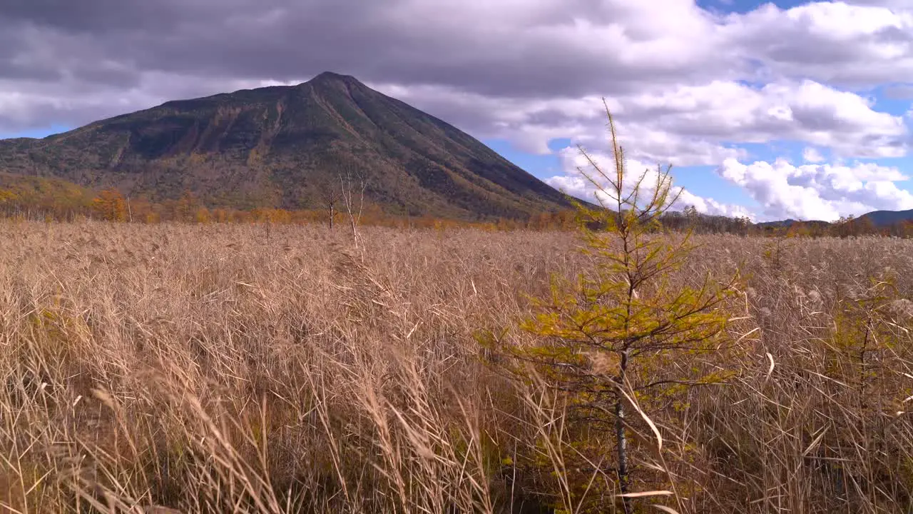 Beautiful grassland on partially cloudy day with blue sky and tall mountain