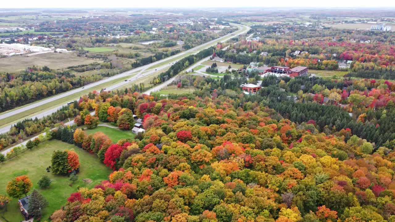 Experience the serene beauty of a cloudy autumn day as a drone soars over a forested highway capturing breathtaking views from above