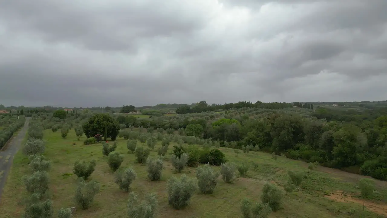 Cloudy sky over olive grove Tuscany Italy