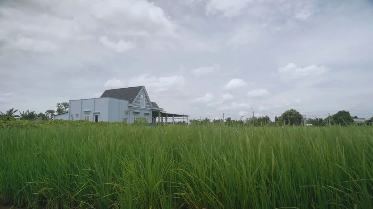 A house near rice fields with a cloudy sky