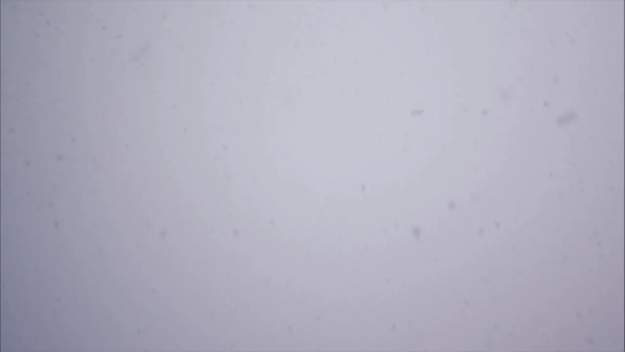 Falling Snow On A Background Of Foggy Sky