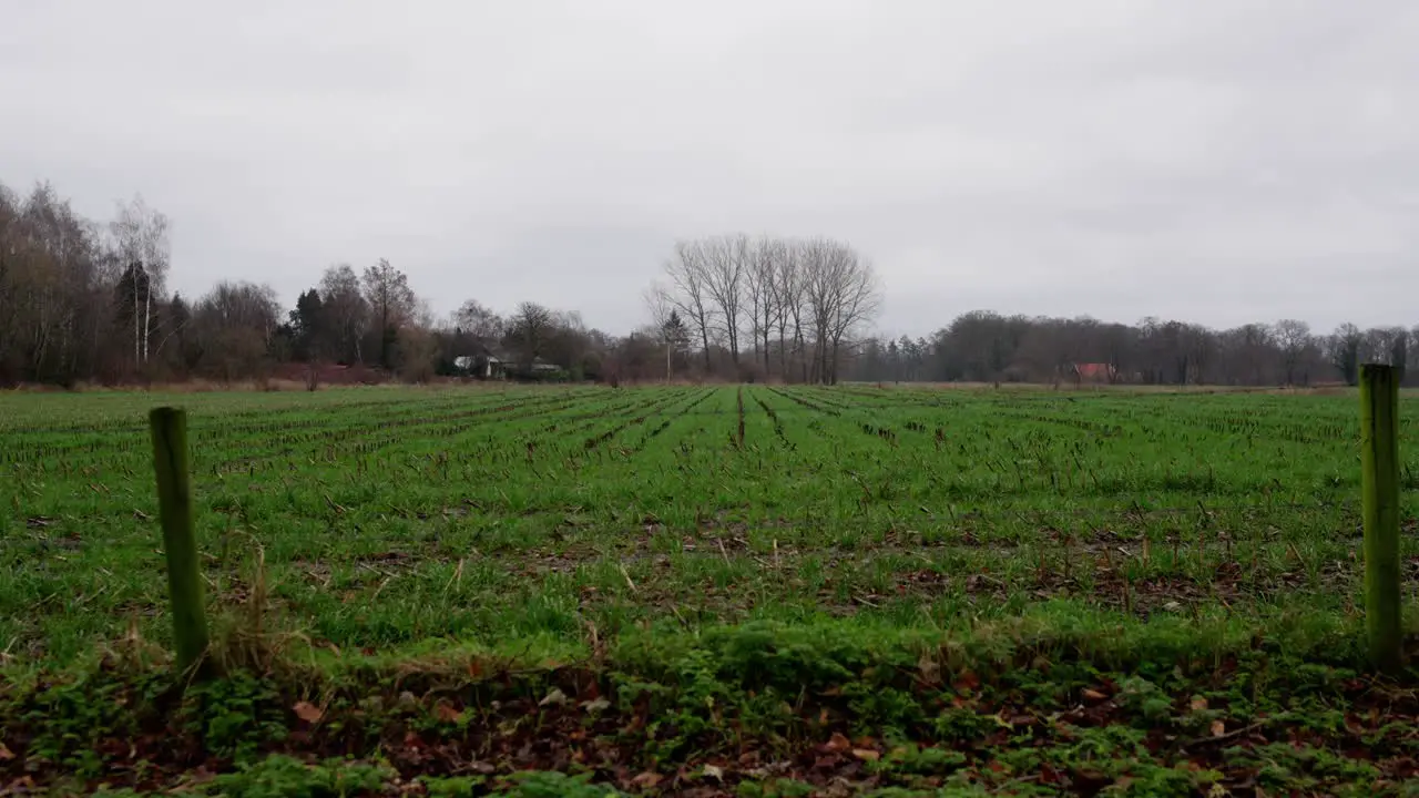 Grassy farm field in the Netherlands fence in the foreground in 4K