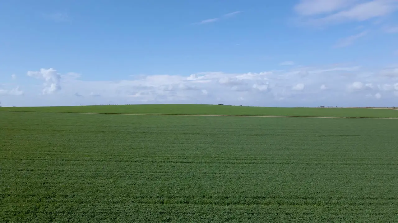 Fields At Sdot Negev Israel Community