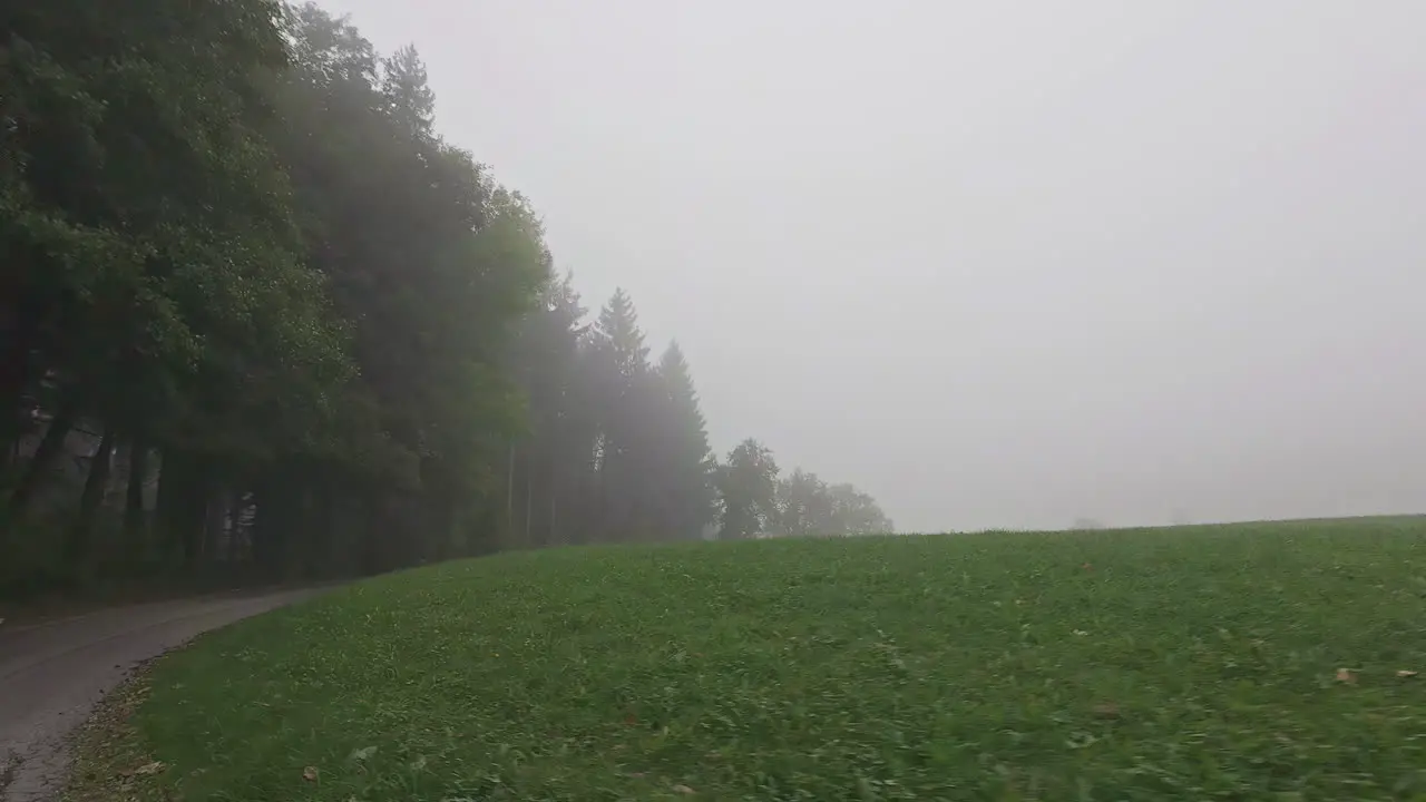 Dirt road in the middle of forest trees and green fields cloudy day