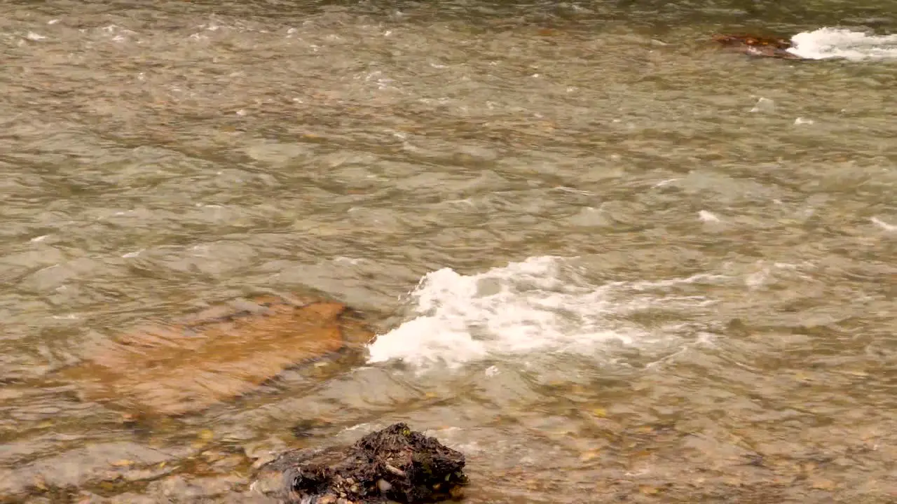 Close up shot of a river in the rain