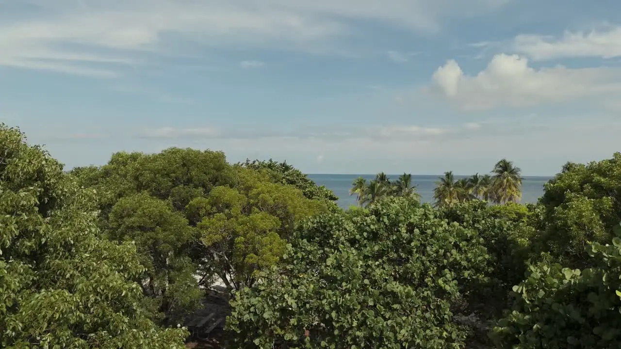 Aerial reveal view of Biscayne Beach in Florida