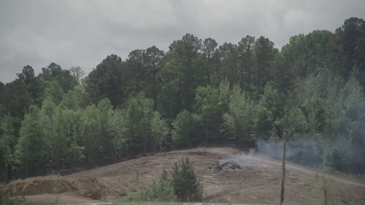 a camp fire in a field with trees