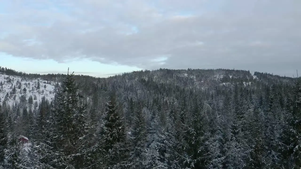 Dronefootage of a winter forest