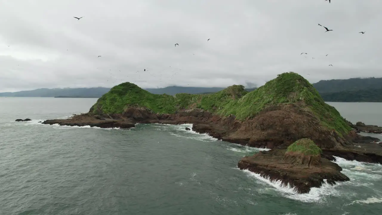 Birds Circling Rocky Island Costa Rica Drone Aerial