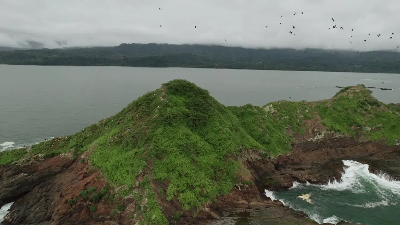 Flock Of Birds Flying Over Rocky Island Costa Rica