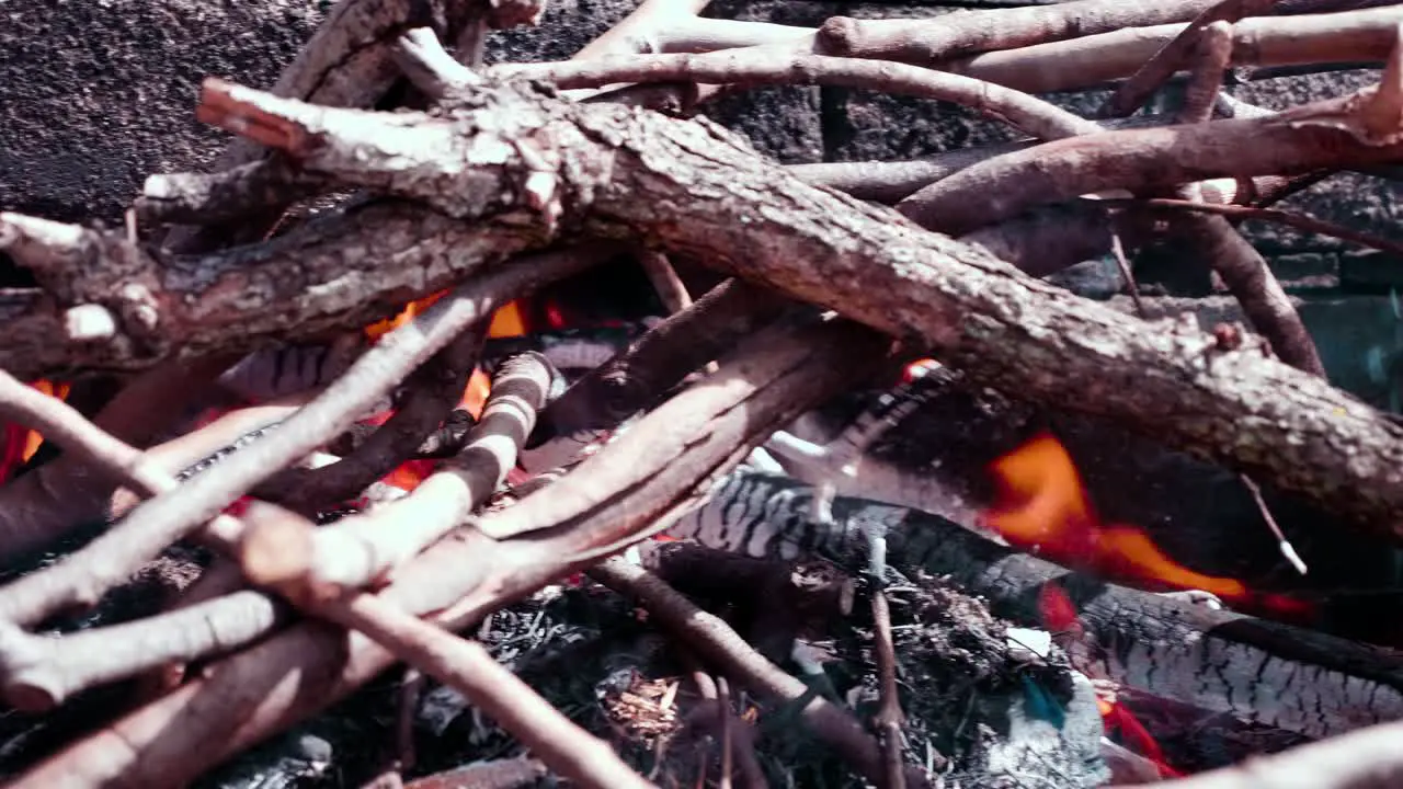 bonfire on old concrete bbq area firewood