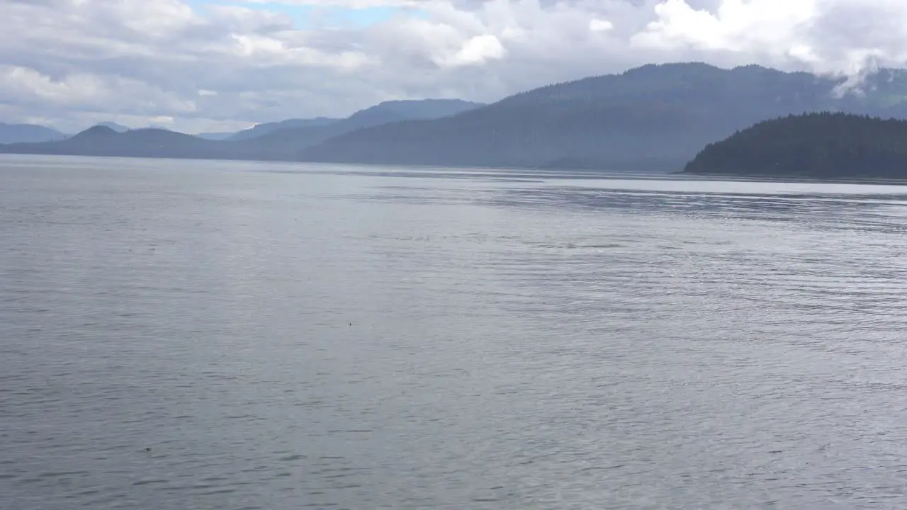 whale watching tour on boat