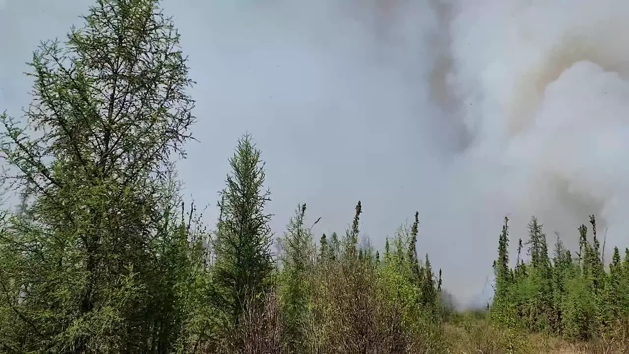 Menacing grey smoke invades the sky wildfire starts to burn in pine tree forest