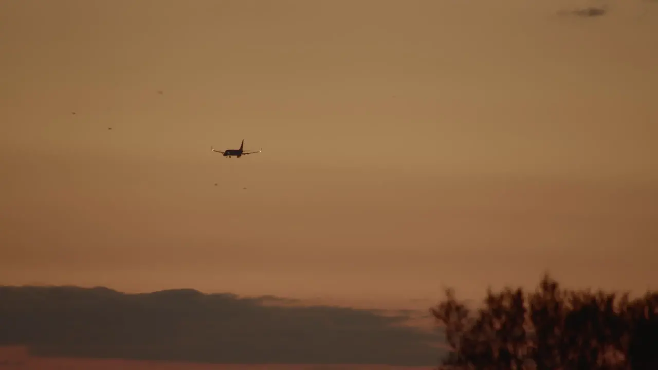 Plane landing in sunset