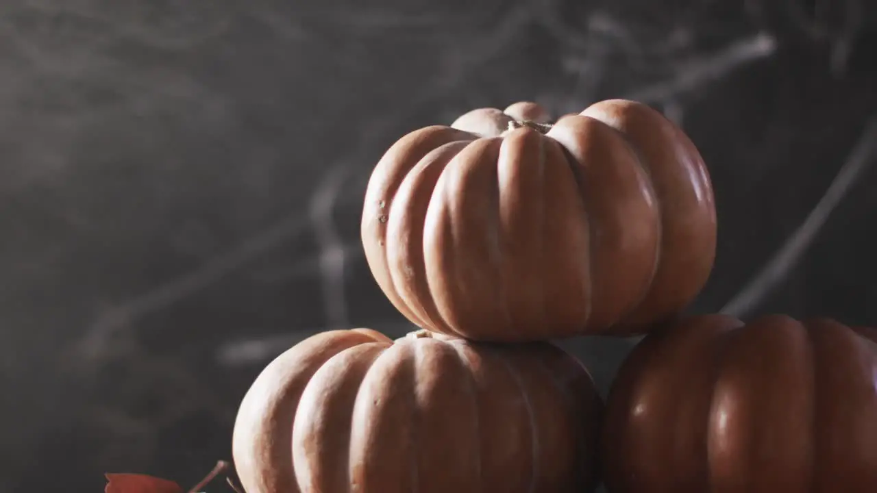 Video of halloween pumpkins with spider's web and copy space on brown background