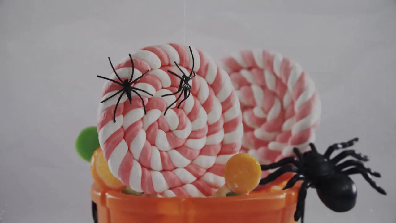 Spiders falling over in halloween pumpkin bucket filled with candies against white background