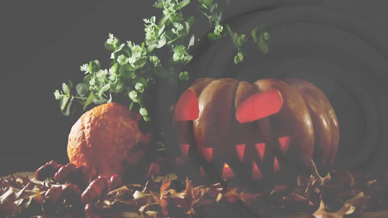 Animation of glowing halloween pumpkin with plant and autumn leaves on black background