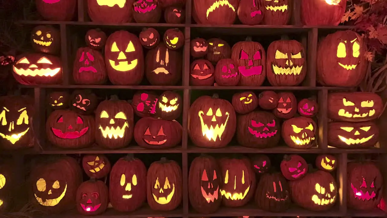 Many different Halloween Pumpkins or Jack o´lantern on shelf of haunted house