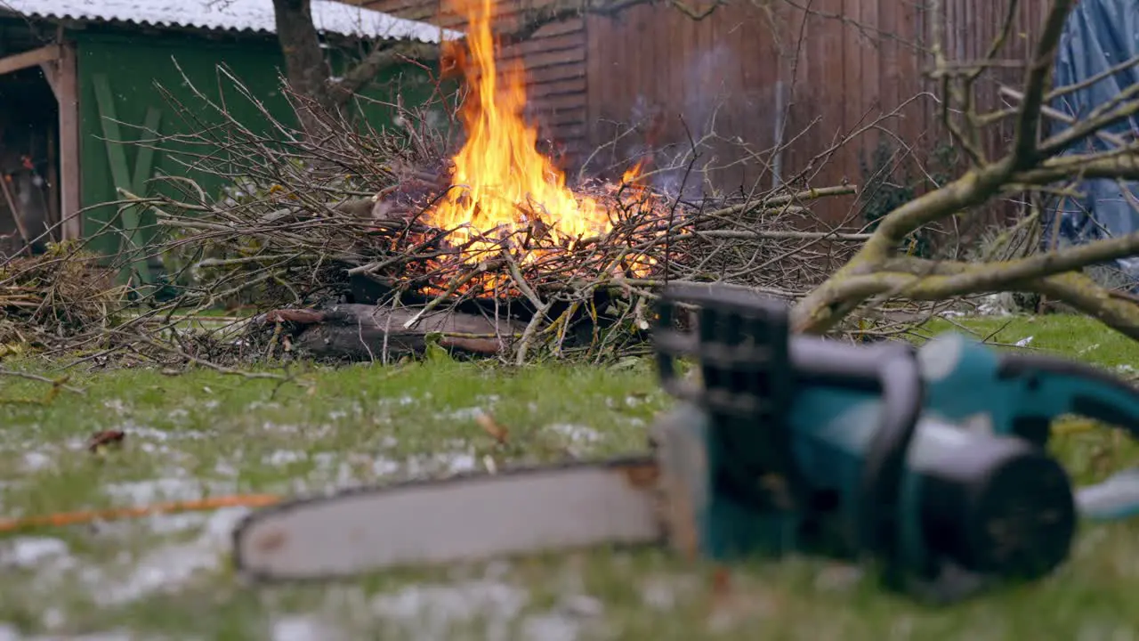 Burning freshly cut apple tree branches during snowfall