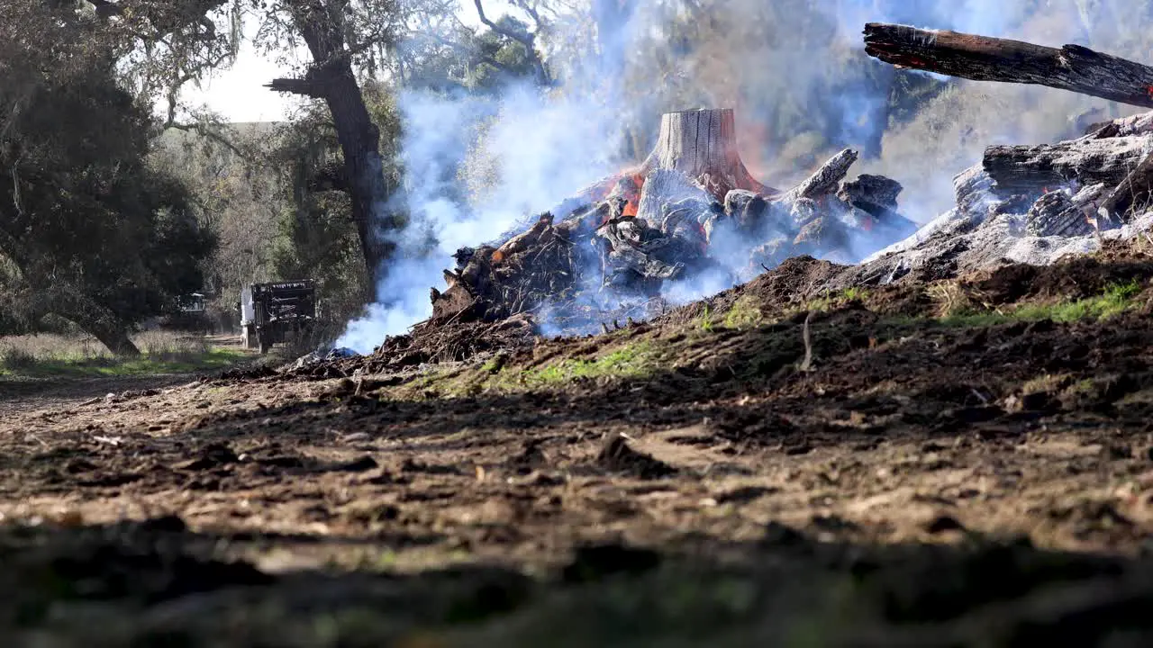 Control Burn Pile in Forested Area Tractors and Workers