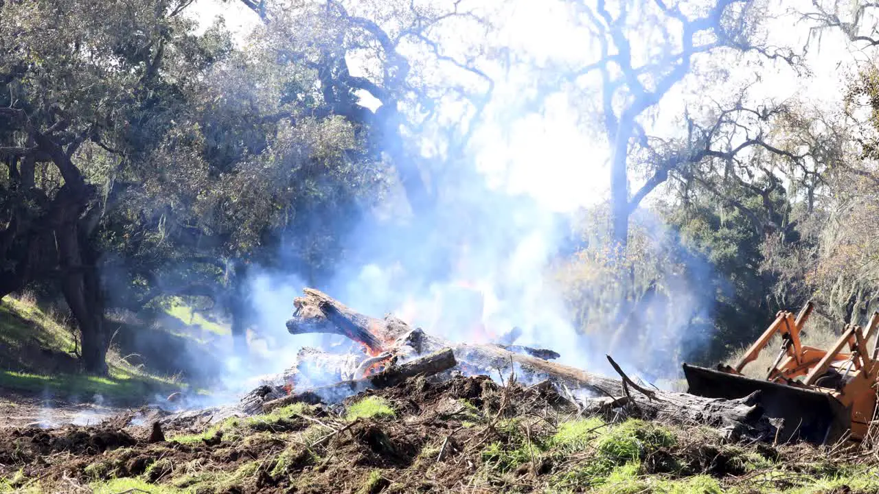 Tractor Pushing Dead Logs in Control Burn Pile