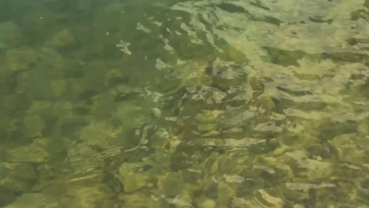 Waves on the surface of the lake water