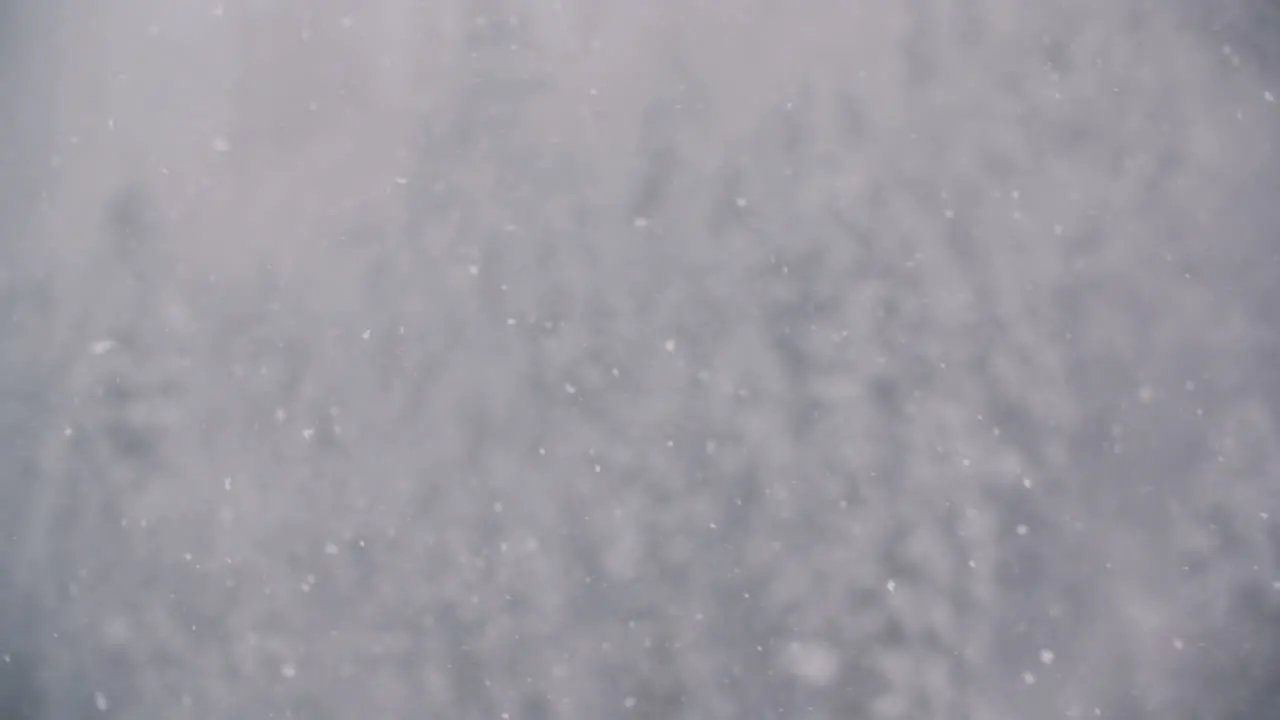 Snowflakes Against Snow Covered Trees In Mountains 1