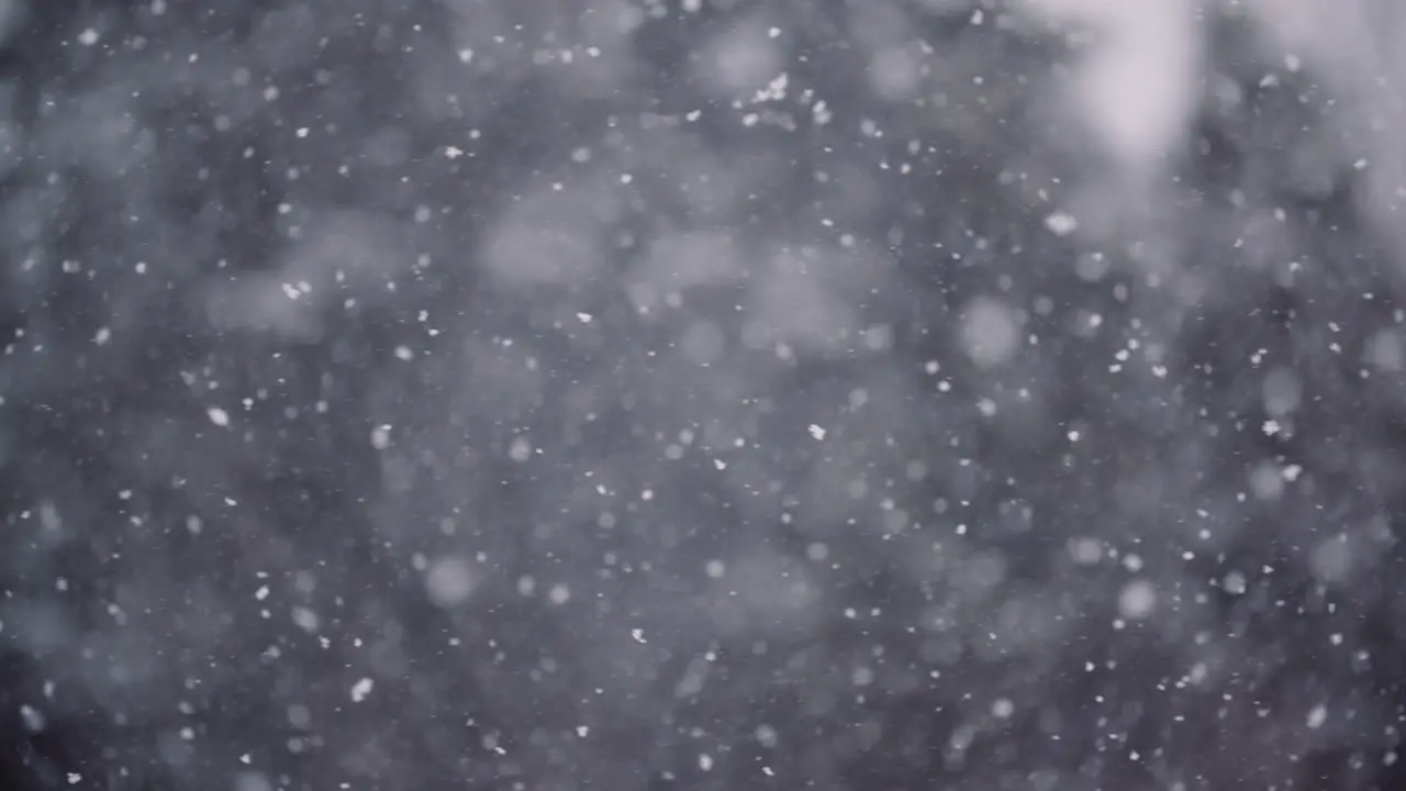 Snowflakes Against Snow Covered Trees In Mountains 5