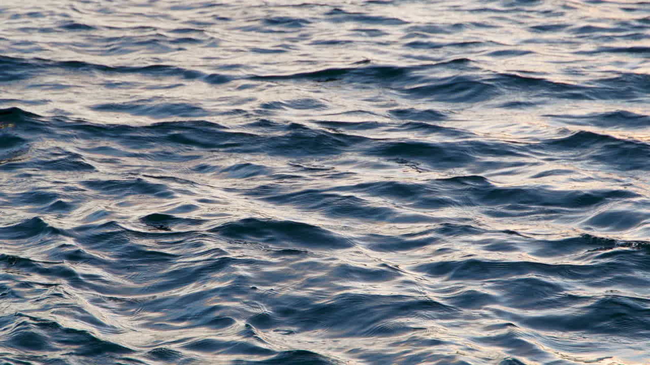 Sea waves in the pastel sunset water in slow motion