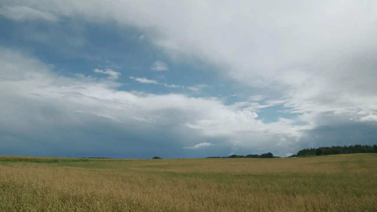 Fluffy storm rain clouds cumulonimbus stratocumulus time lapse with oat field in foreground