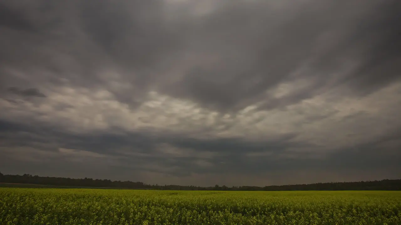 Dark stormy clouds moving over spring field