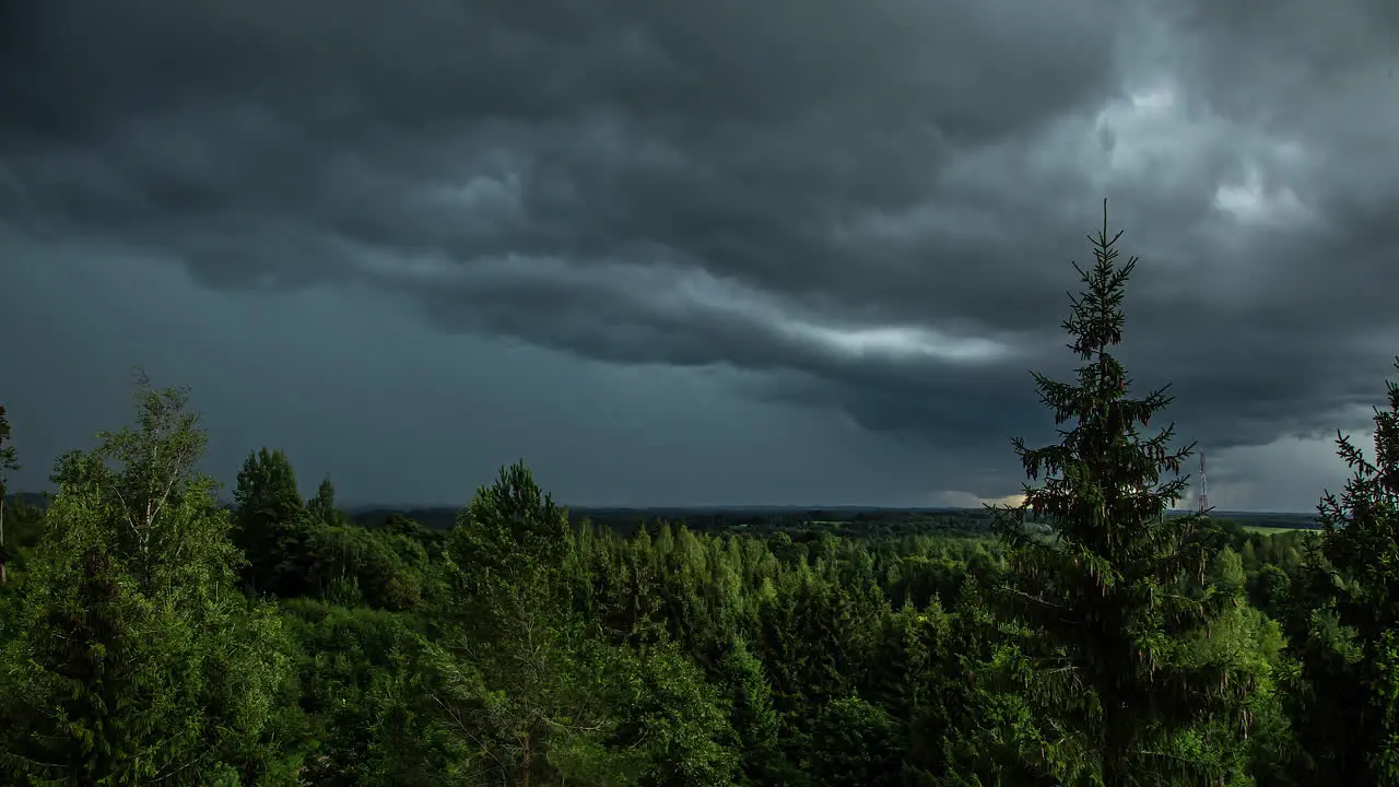 Dramatic static timelapse of dark clouds over green conifer forest