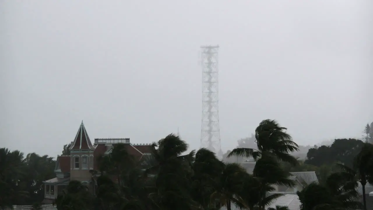 Florida Key West Palm And Tower With Light In Rain