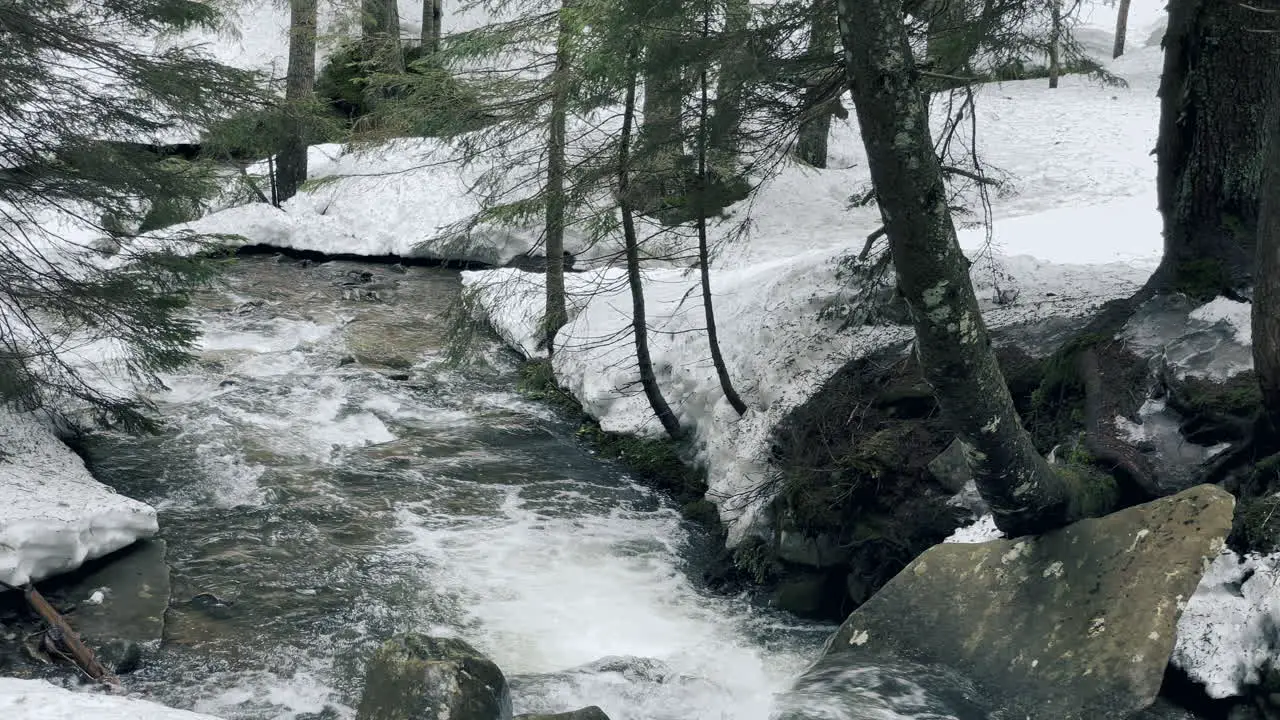 River rapid snow landscape in winter forest Closeup river rapid Spring thaw