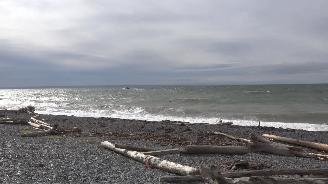 Canada Bay Of Fundy Boat In Distance With Driftwood On Beach