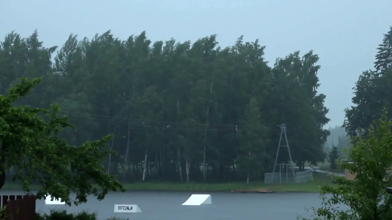 Time Lapse of Rain Clouds over Trees