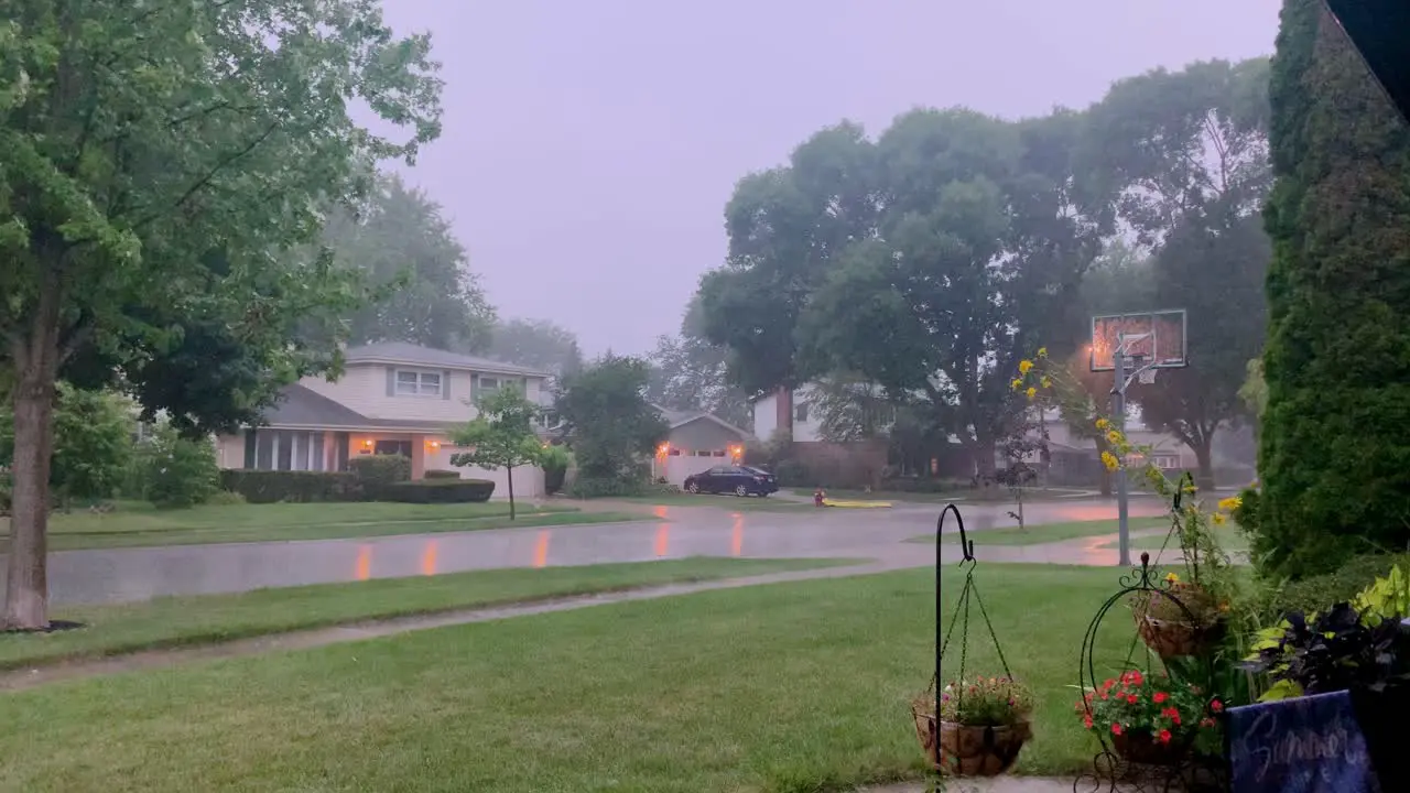 Rain storm wind blowing trees around