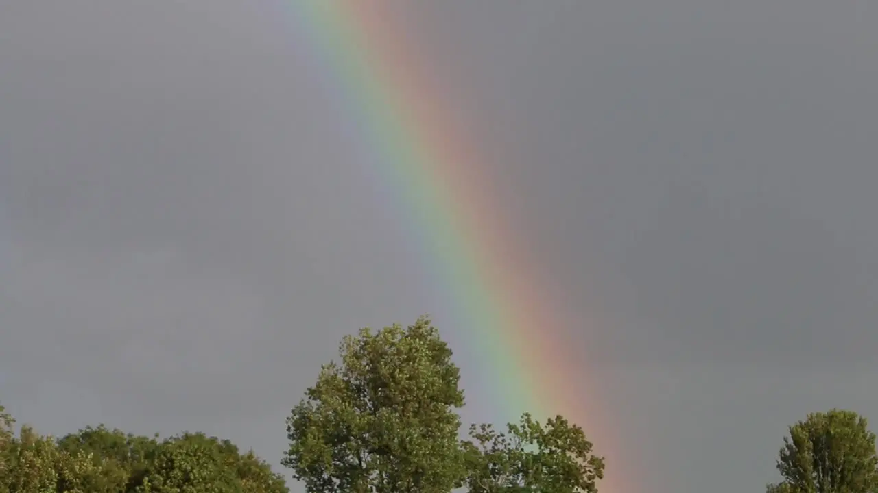 Rainbow with stormy sky over trees Netherlands