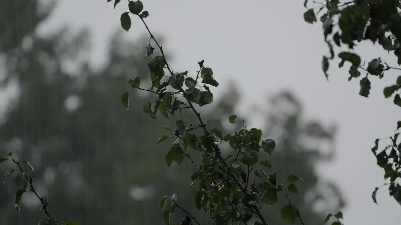 Heavy rain day in a suburban neighborhood in Georgia