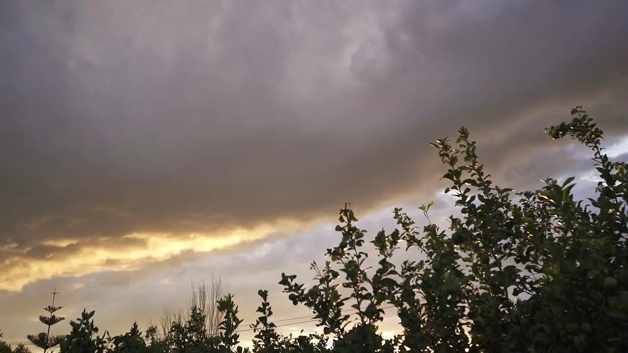 Beautiful sunset in the sky with grays clouds in a green vegetable patch