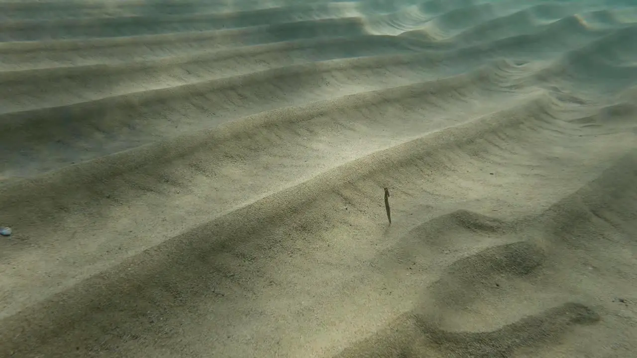 A close up of sand dunes at the bottom of the sea