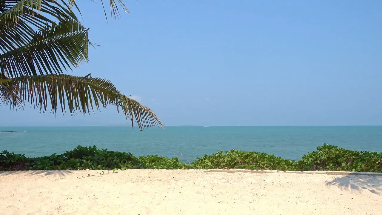 Palm fronds frame a sandy beach in Southeast Asia