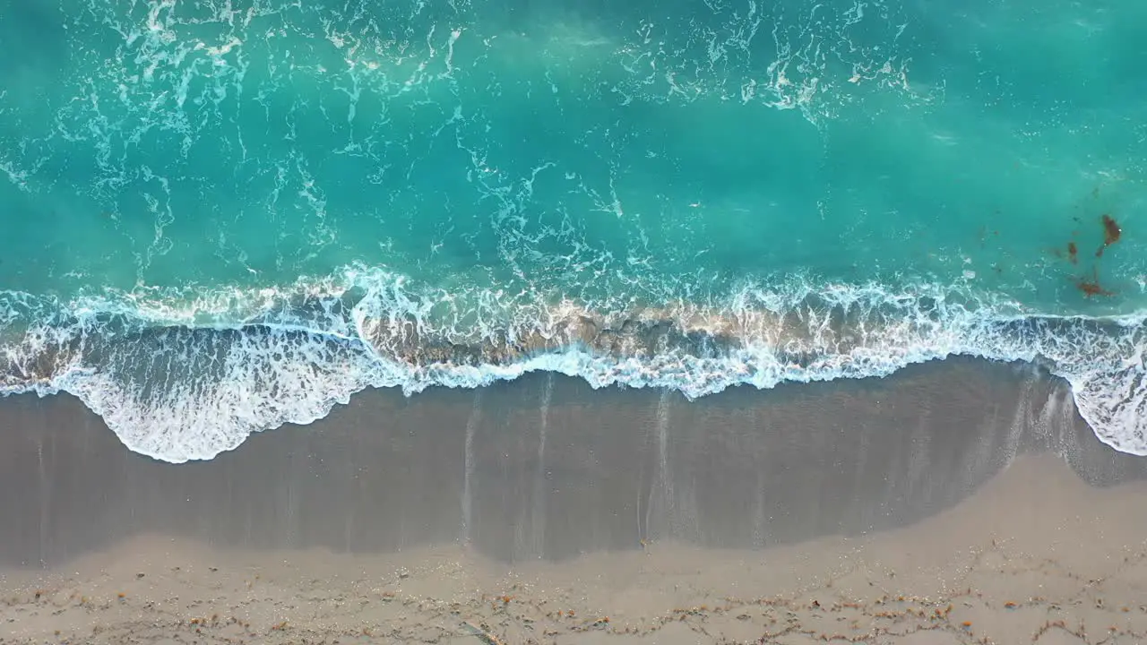 Tropical Florida Beach Aerial Straight Down