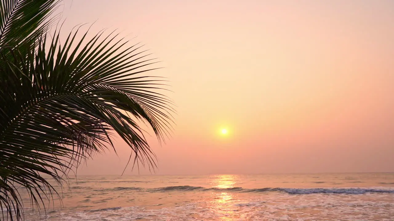 A slow-motion pan creating a layered composition of a palm tree branch foreground ocean waves midground colorful sunset in the background and room for title space