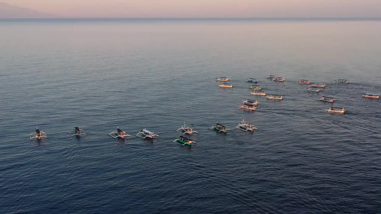 aerial of mass tourism with many tourist boats cruising on sunrise ocean tour in Lovina Bali Indonesia