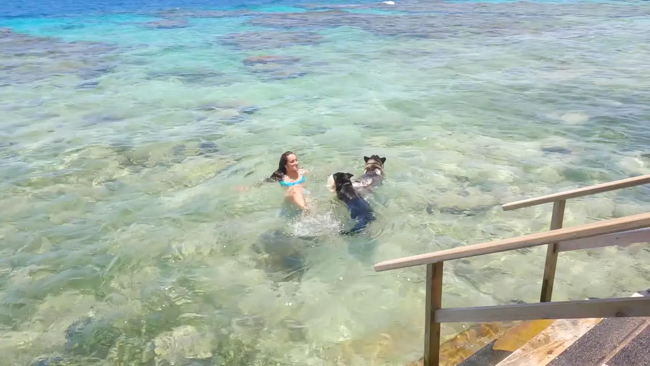 Young woman in a bikini swimming with 2 dog in a tropical sea Honduras Utila